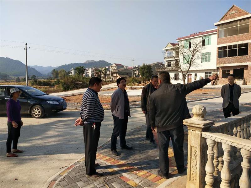指导美丽乡村建设2.jpg